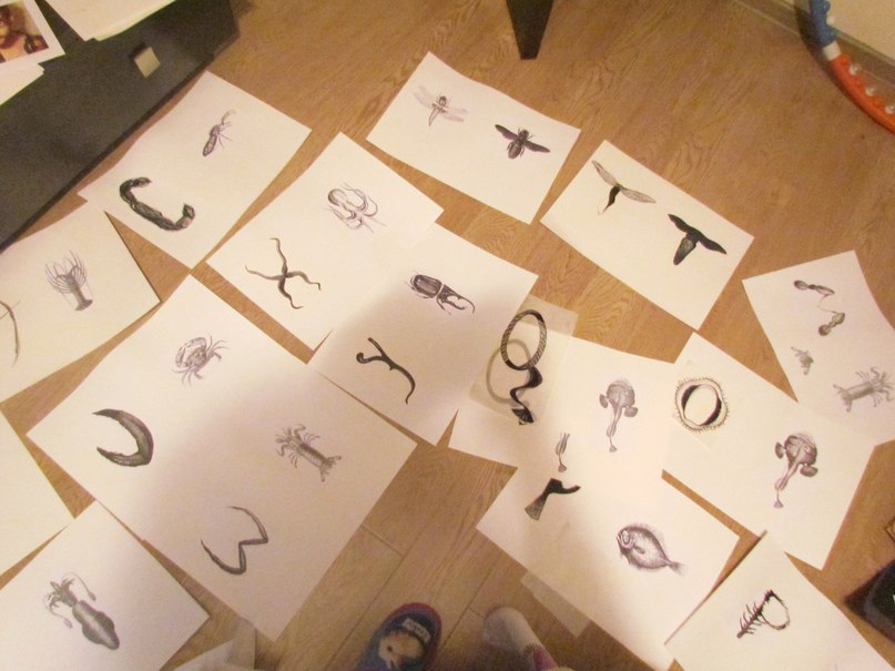 Валерия Дашут ܓ | Москва