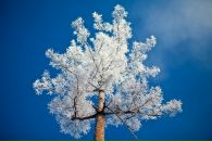 №41 Сергей Аносов : профиль, фото, статус - ВКонтакте