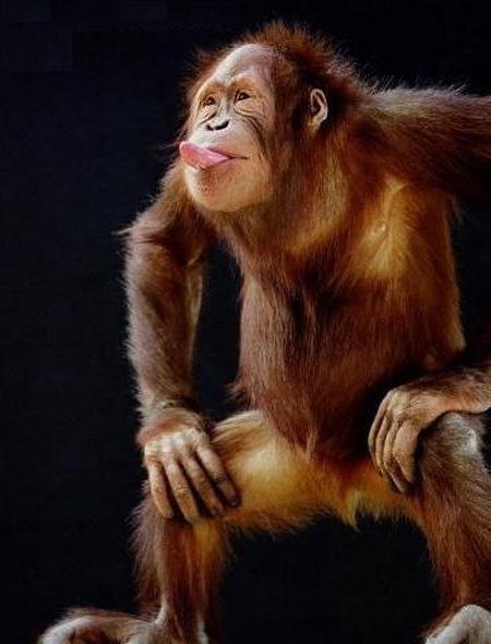 Никита Абрамов :)(: | Череповец