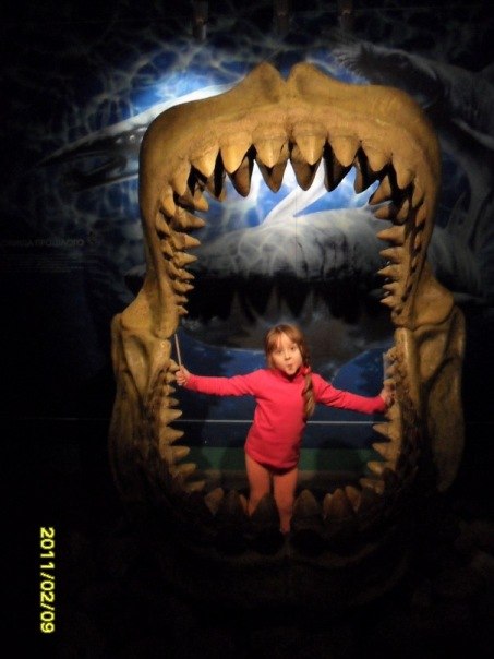 Роман Бикулов | Санкт-Петербург