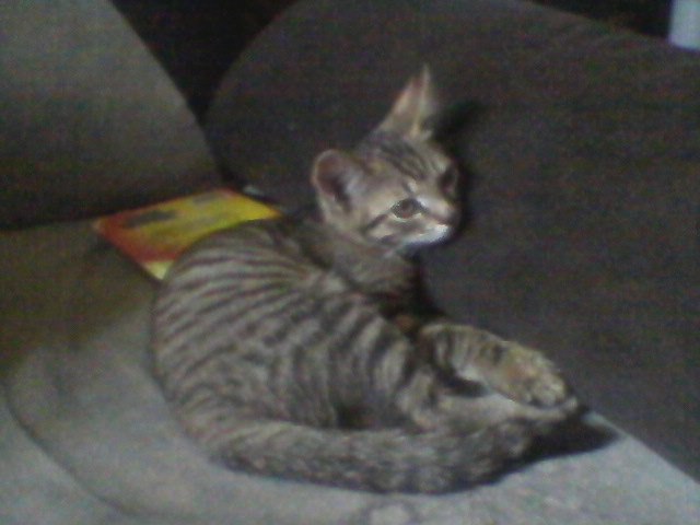 Сергей Гордеев | Москва