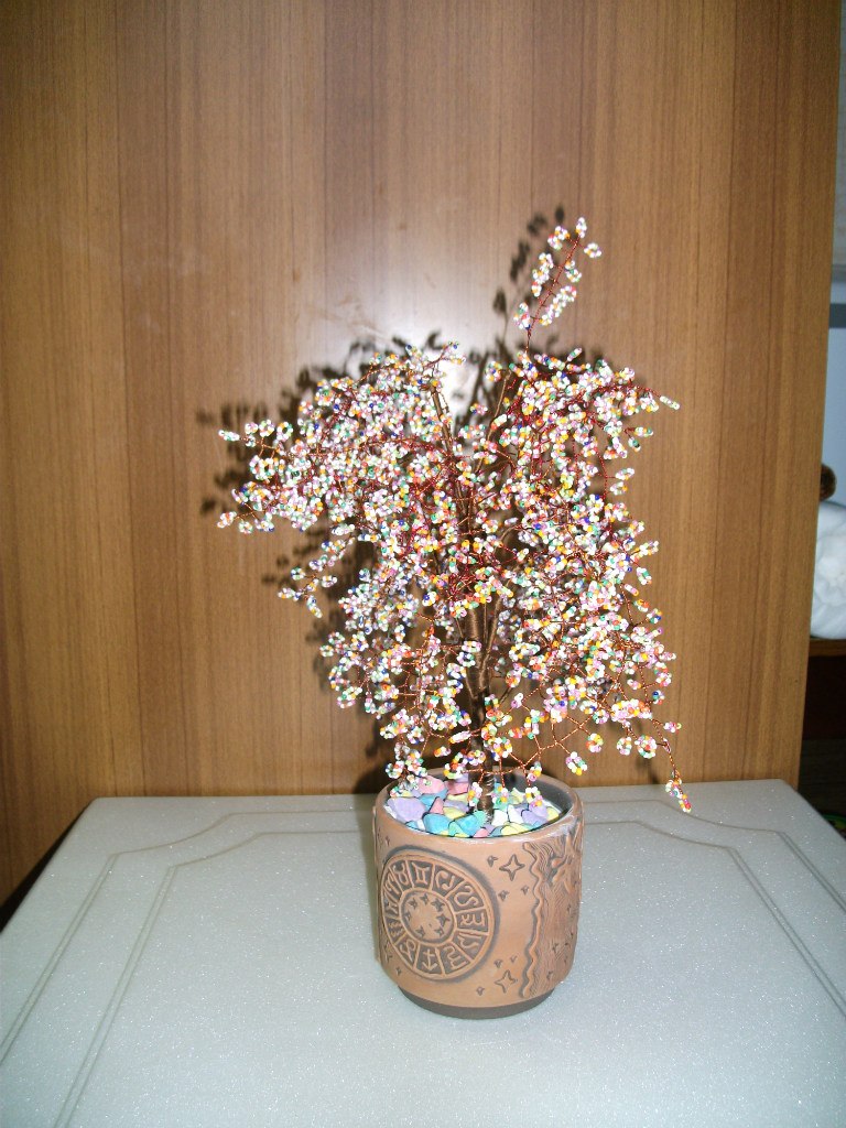 Елена Козак | Ноябрьск