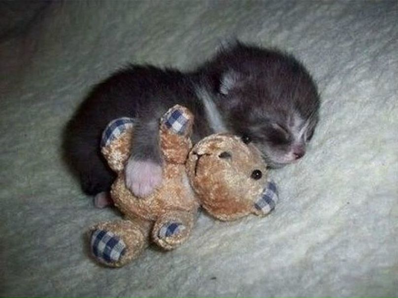 №114, Анастасия Титкова, 36 лет, Москва №114, Анастасия Титкова, 36 лет, Москва