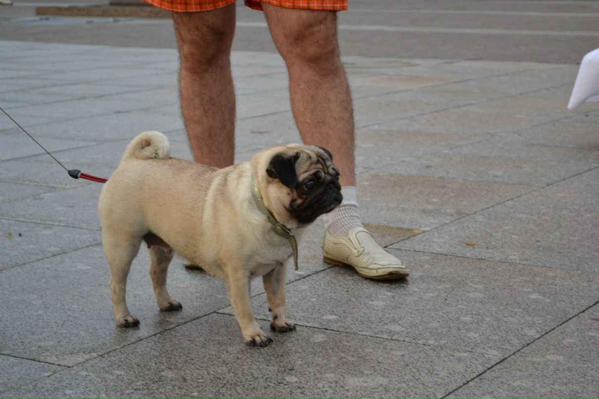 Евгений Збарский | Москва