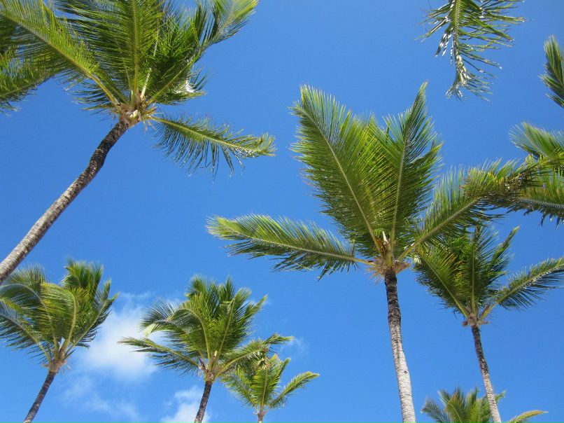 Александр Пушкин | Москва