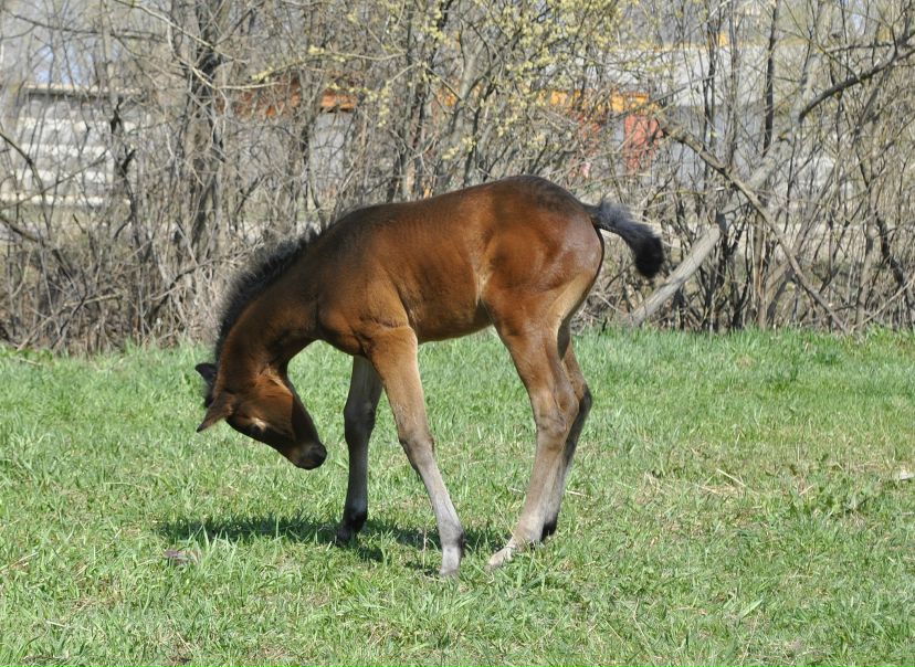 №115, Дарья Филатова, 07.03.1982, Москва №115, Дарья Филатова, 07.03.1982, Москва
