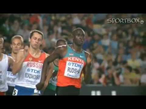 800 m men final Daegu