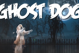 ghost dog