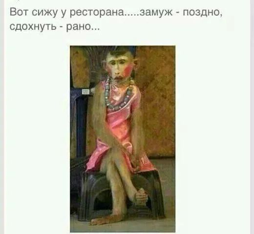 Кум с кумой у ресторана замуж поздно Кум с кумой у ресторана замуж поздно