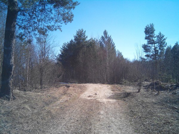 Александр Махов | Шарья