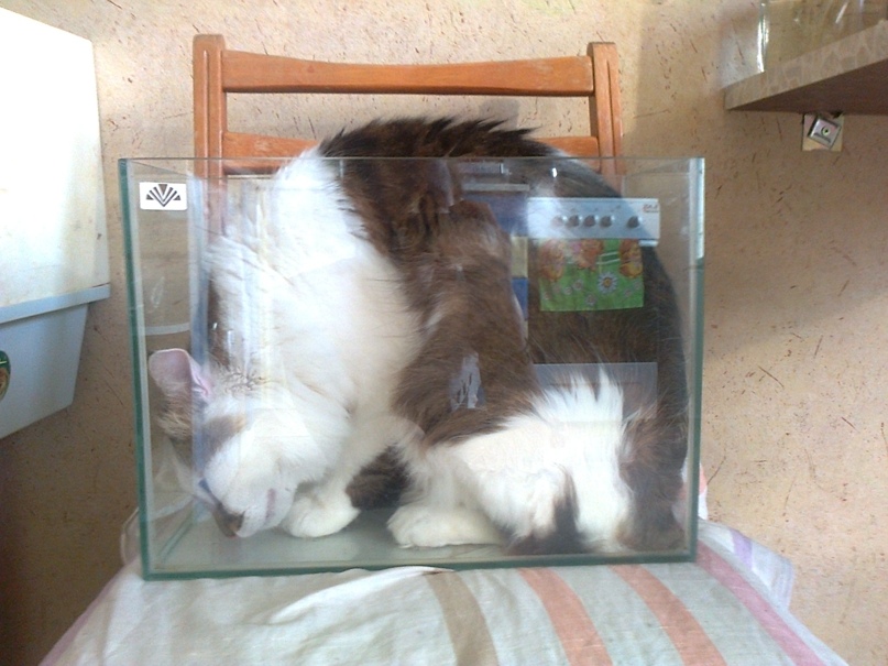 Александр Болдырев | Саратов