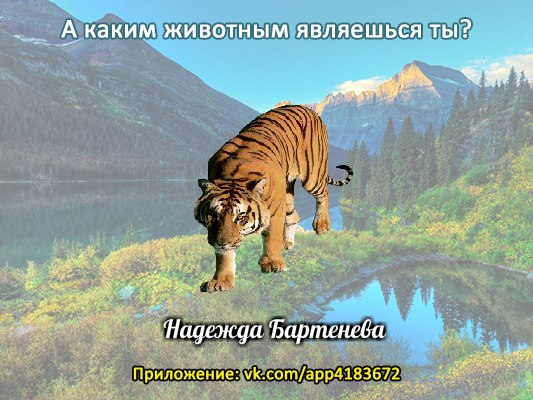 Надежда Крюкова | Курск