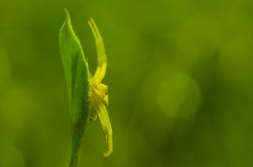 Алексей Куклин | Усолье-Сибирское
