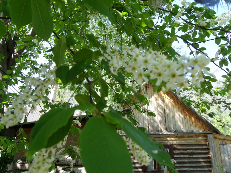 Марина Жданова | Барнаул
