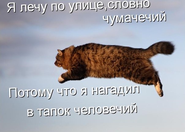 Максим Марков | Череповец