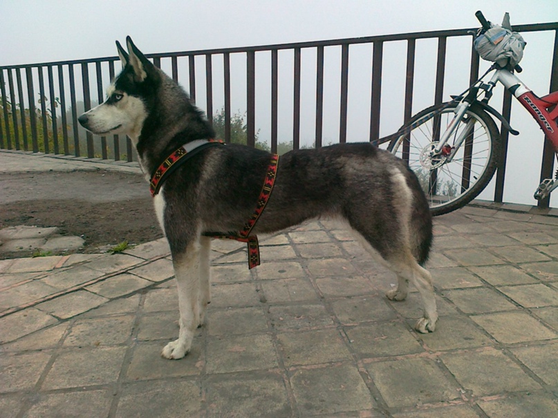 Станислав Бобылев | Владикавказ