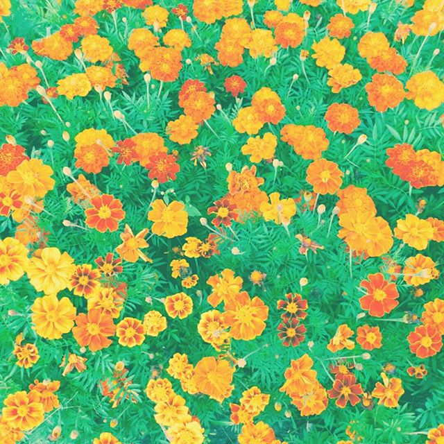 Леонид Леонтьев | Тольятти