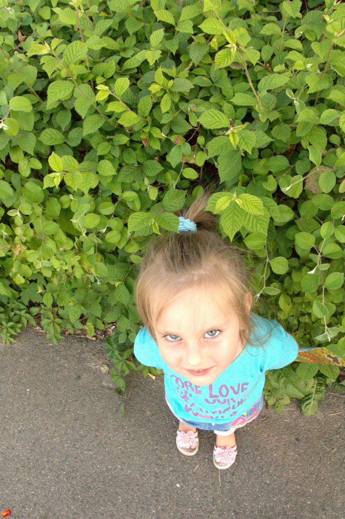 Сергей Корнеев | Киев