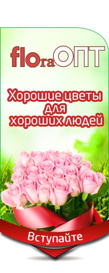 Флора Опт Интернет Магазин