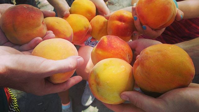 Мария Шапкина | Москва