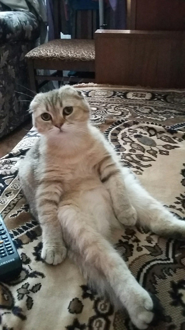 Елена Евсюкова | Санкт-Петербург