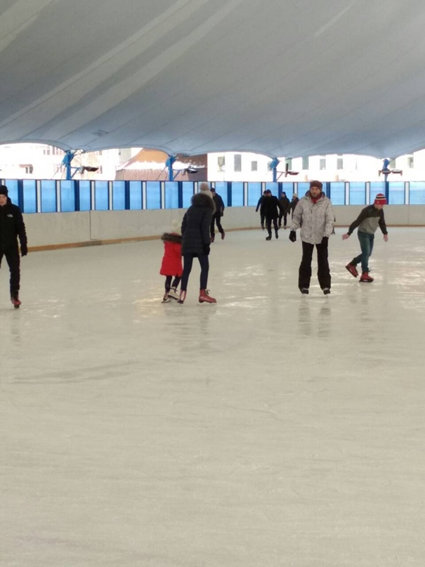 Марина Садовничая | Комарин