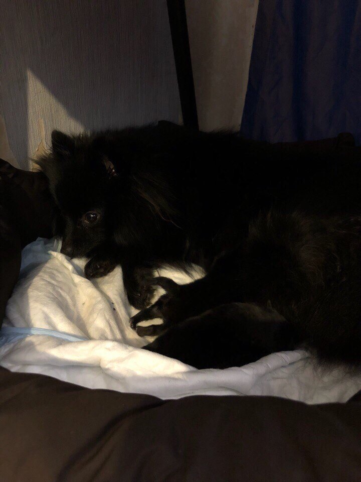 Анастасия Афанасьева | Санкт-Петербург