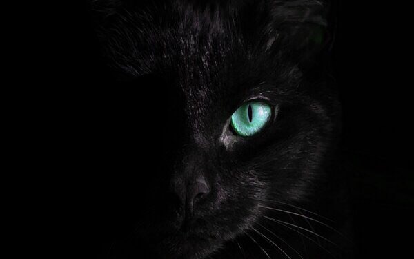 Ольга Пластинина | Ярославль