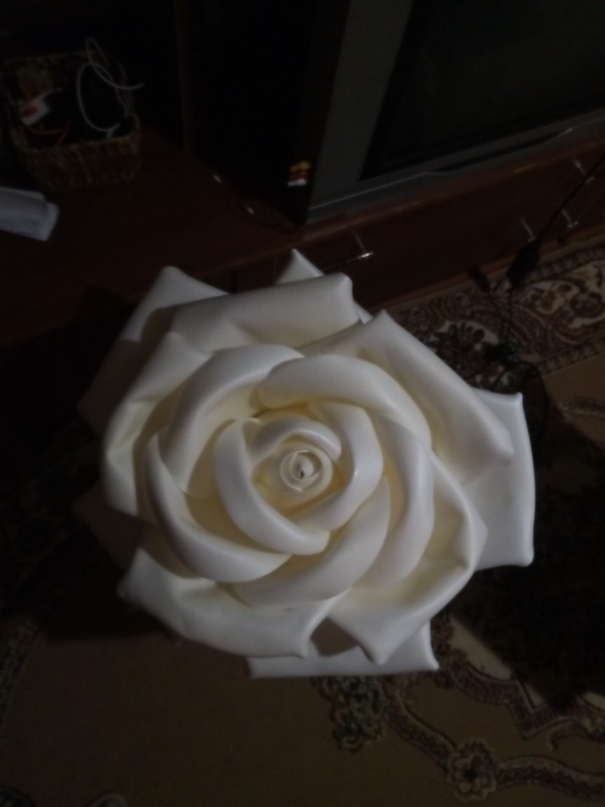 Елена Голощапова | Козельск