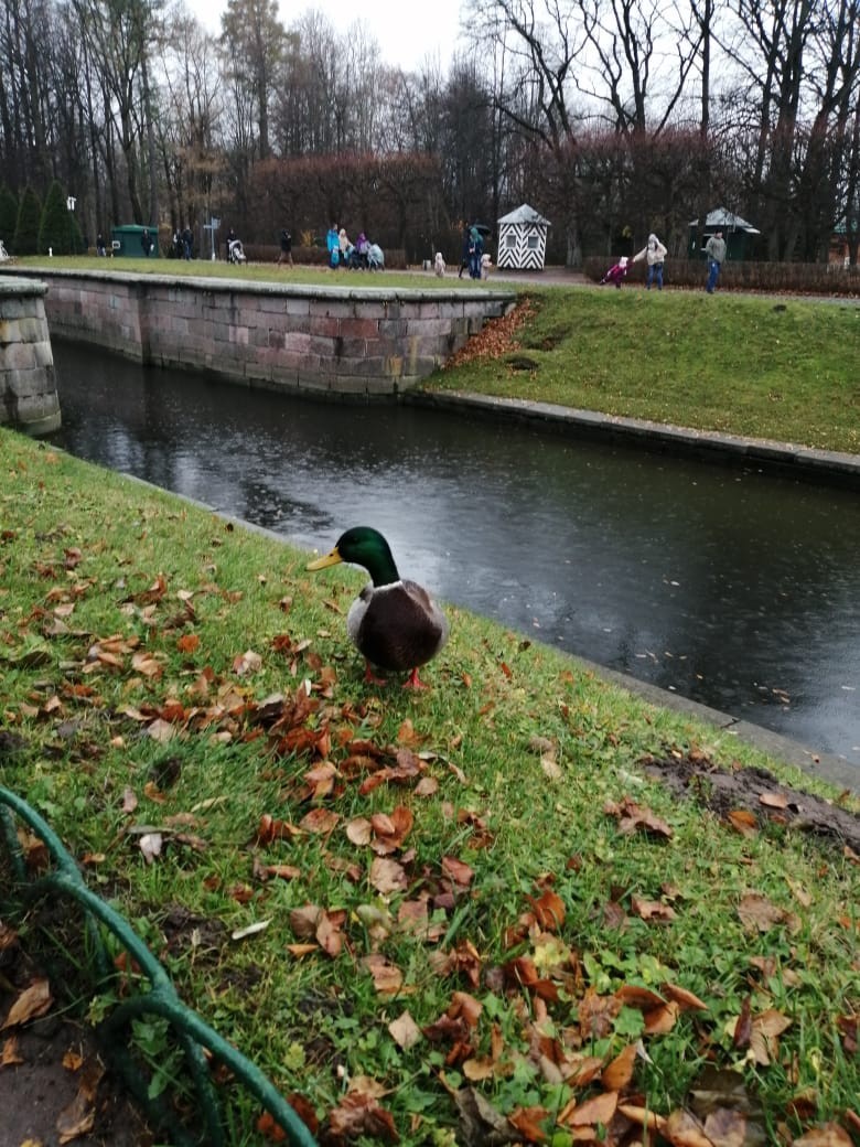Алексей Татарников | Губкин
