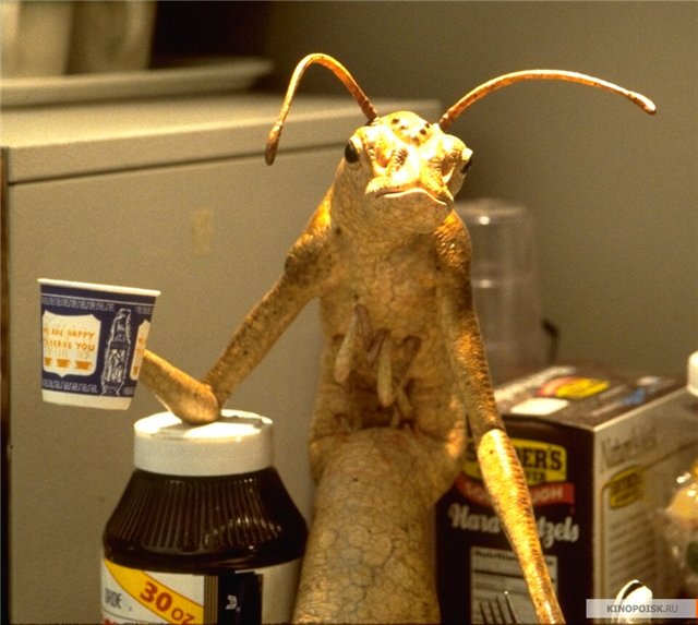 Вадим Прус | Хойники