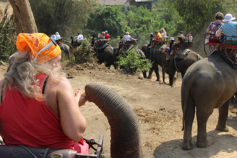 Наталья Шишкина | Калуга