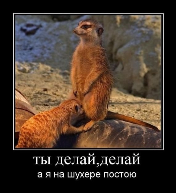 Александра Куприянова Рыж@я | Измаил