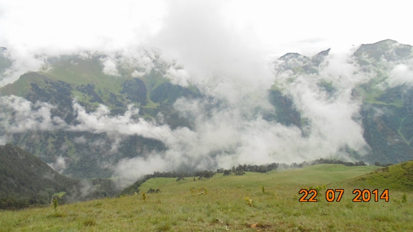 Ольга Дзюба |