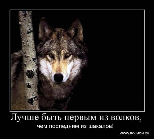 Евгений Константинов | Нижний Тагил