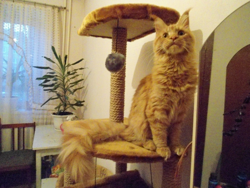 Марина Головизнина | Нижний Тагил