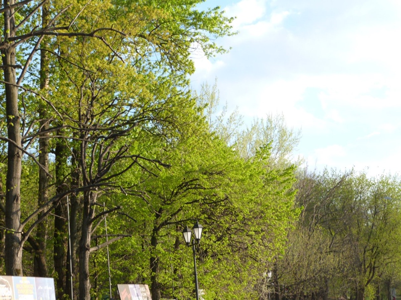 Илья Субочев | Москва