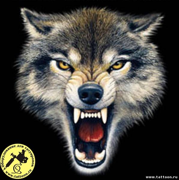 Вадим Кравчук | Брест