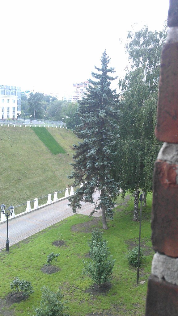 Денис Лоскутов | Рязань