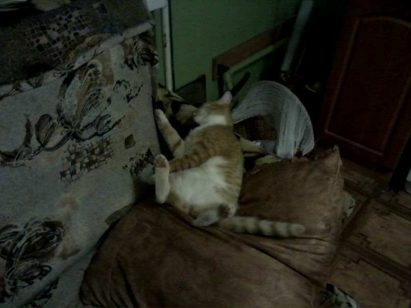 Надежда Панова (Нестерова) | Порхов