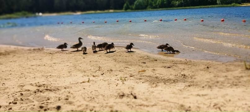 Екатерина Железнова | Йошкар-Ола