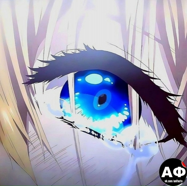 аниме факты