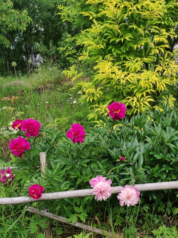 Наталия Мельникова | Ольгинка