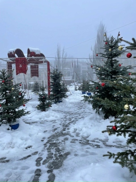 🎉В Курске украсят к Новому году Первомайский парк...
