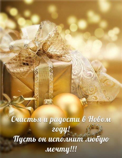Евгения Гаврилина | Архангельск