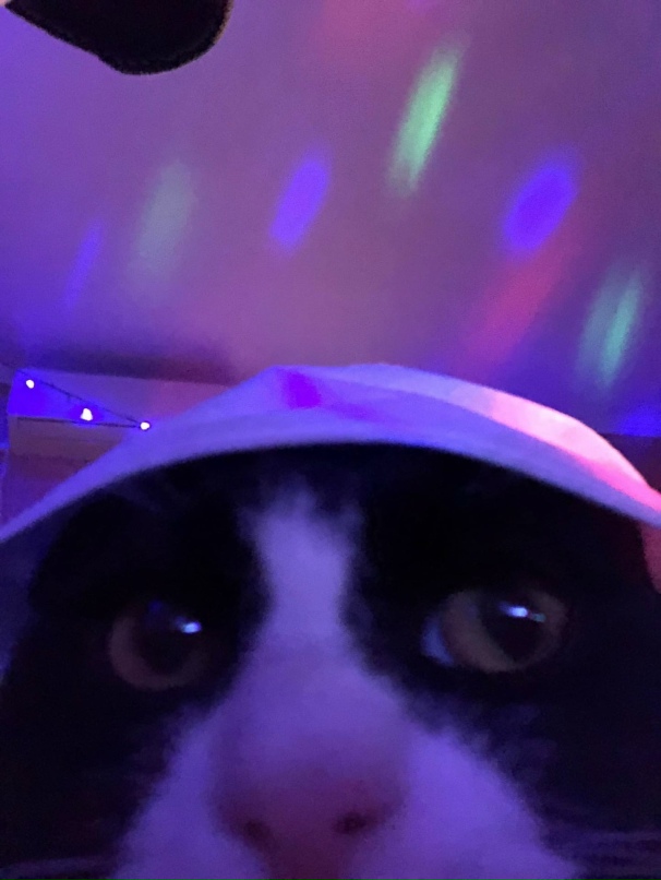 Дмитрий Рябов | Новочеркасск