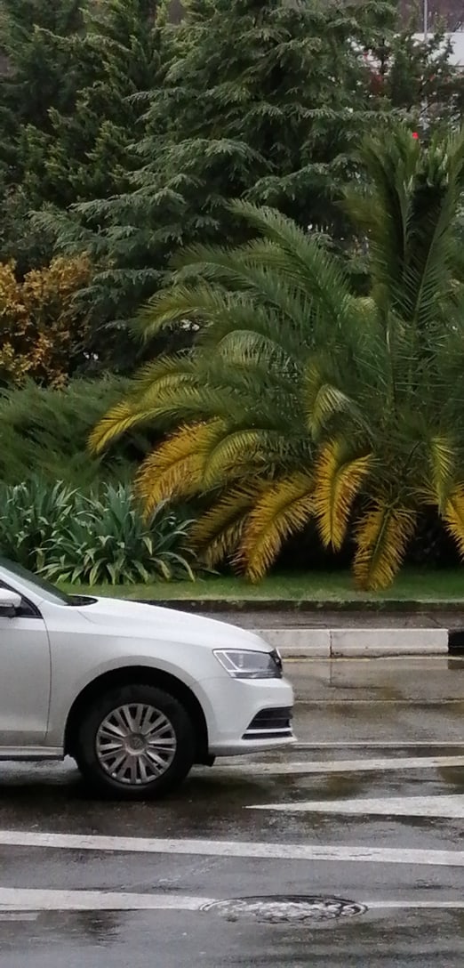 Наталья Сергеева | Люберцы