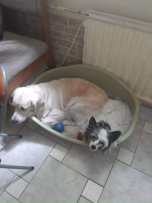 Светлана Ерохина | Санкт-Петербург