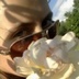 Nikoleta Cappucino