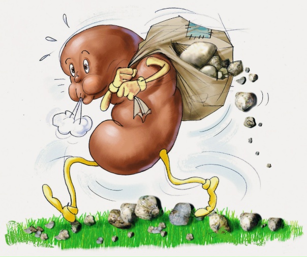 Заболевания рисунок. Веселая почка. Смешные иллюстрации болезней. Камни в почках карикатура. Смешные почки. Заболевания рисунок. Веселая почка. Смешные иллюстрации болезней. Камни в почках карикатура. Смешные почки.